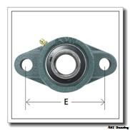 AMI BLCTE205-16TCMZ2 Mounted Units & Inserts